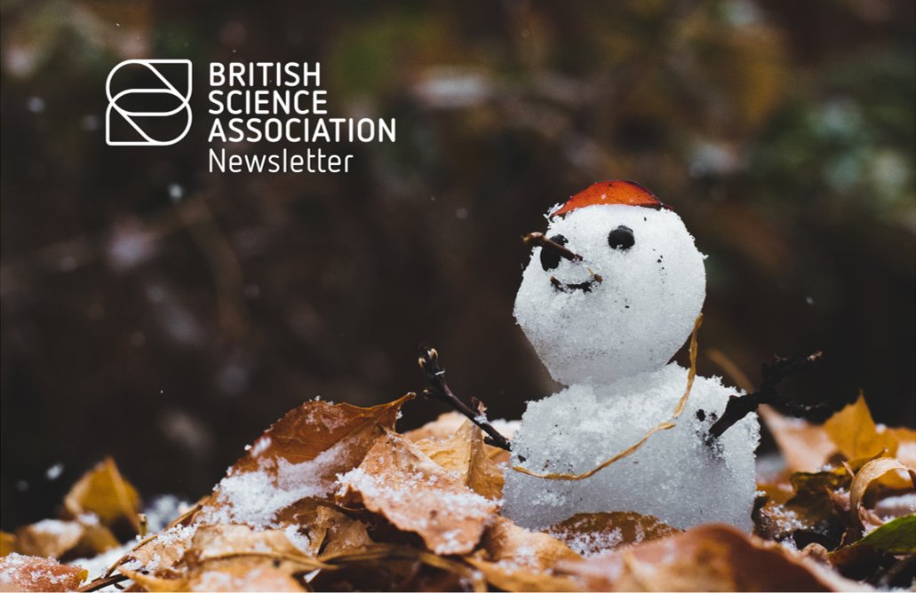 BritSciAssoc's tweet photo. Want to know what we've been up to this year?
Check out our 2020 newsletter to relive our most memorable highlights, including #BSW2020 and @TheIdeasFund, here: https://t.co/vR2vkNau40
Dont forget to subscribe to find out what we get up to in 2021! https://t.co/dUlWXW62ND https://t.co/7AfioLGzZg