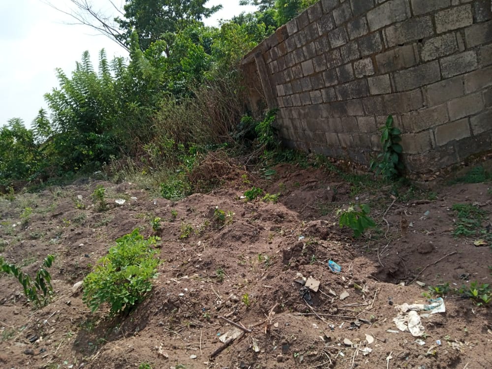 Real Estate (Land Properties in Akure Environ) (RealAkure) Twitter