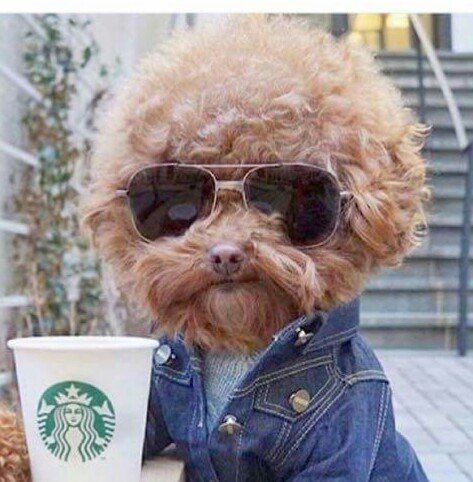 pulmyears's tweet image. Happy 73rd Birthday to the great Jeff Lynne!