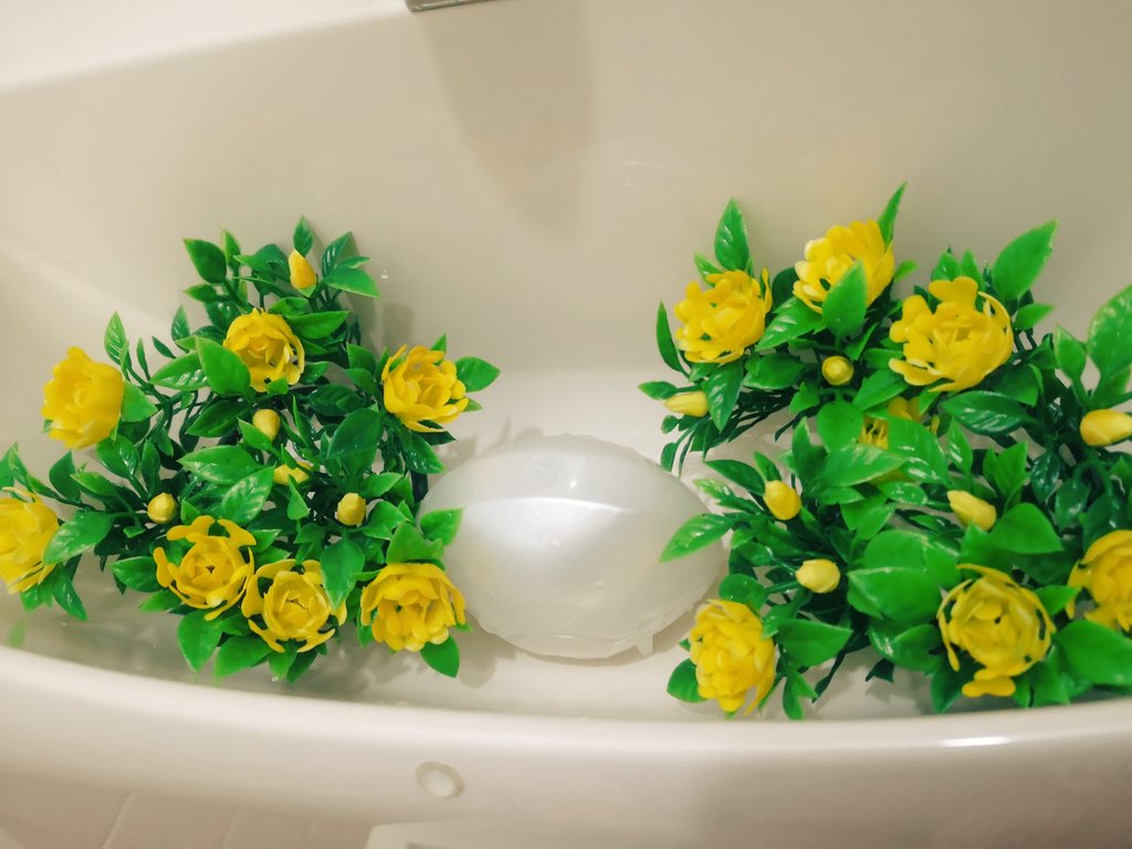 南志保 ロバート秋山さんのネタが好きすぎて 便所のタンクの上に花を咲かせました 便所のタンクの上に咲く専門の花 真ん中にもあったらバランスいいかな また買ってこよ T Co 1ya2ivewnw Twitter