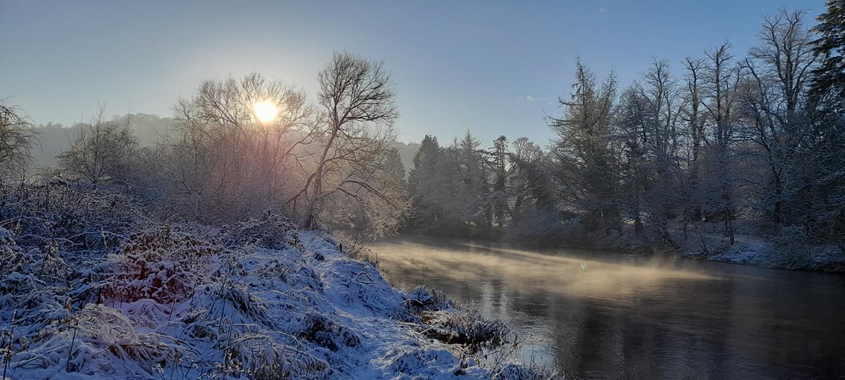 CamnethanPriory's tweet photo. More stunning photos by Colin Sinnett, who must have walked 1000s of miles through Lanarkshire this year! This is DALSERF, home of the Hogback Stone by the Clyde! @GovanStones @gmacg_1 @Fluffy_LeMonde @HorneSupremacy @SMacGal @VsitLanarkshire @VisitScotland @HistEnvScot https://t.co/8F94lBK33B