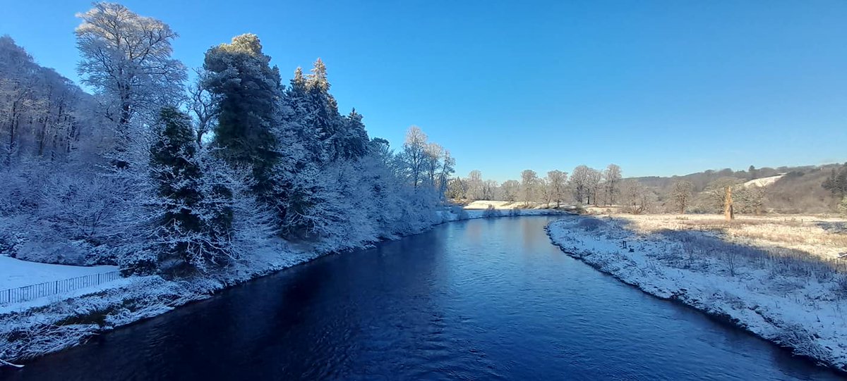 CamnethanPriory's tweet photo. More stunning photos by Colin Sinnett, who must have walked 1000s of miles through Lanarkshire this year! This is DALSERF, home of the Hogback Stone by the Clyde! @GovanStones @gmacg_1 @Fluffy_LeMonde @HorneSupremacy @SMacGal @VsitLanarkshire @VisitScotland @HistEnvScot https://t.co/8F94lBK33B