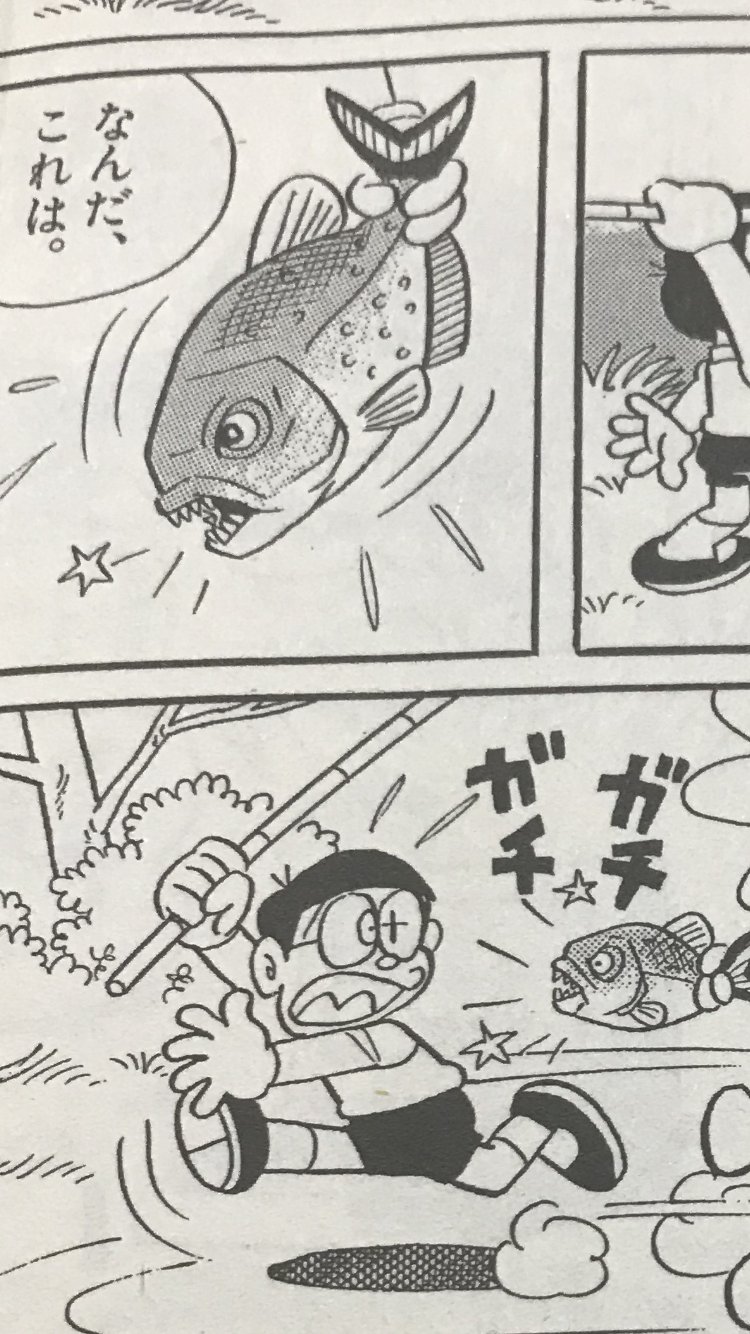 ワニガメマン ピラニア漫画紹介 ドラえもん 水たまりのピラルク のび太が雨でできた水たまり とアマゾン川の空間を入れ替えて釣りをする話 ピラニアの出番もあるが 本作の見所は世界最大の淡水魚 ピラルクの躍動感ある大暴れシーンである ピラニアは
