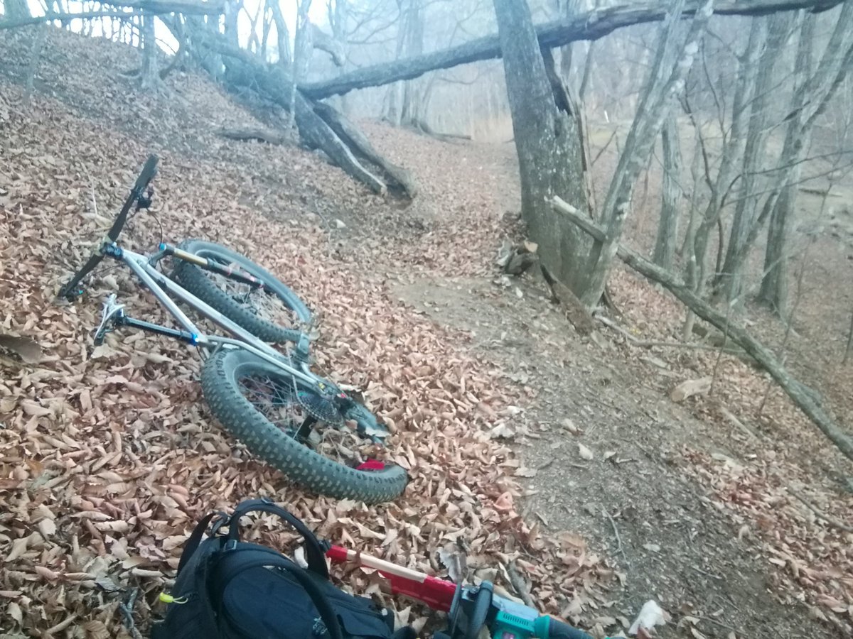 4143my's tweet photo. 登山者の為に……とか登り倒木まで処理してたら全く終わらん。ライト持ってきてるし続行だな https://t.co/zZ8DpJWRA1