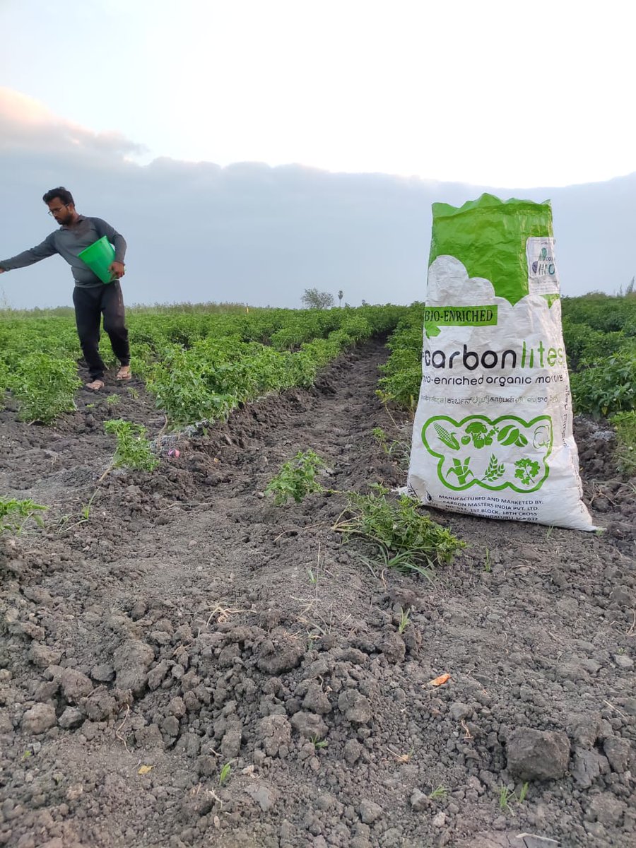 carbonlites's tweet photo. Welcoming our newest #CarbonlitesFarmer, Satish Kumar from Telangana, a CS graduate by qualification, but a farmer by passion! He is excited to introduce and adopt, less chemical and more #regenerativeagriculture  techniques.  We can help you make a start : info@carbonlites.com https://t.co/Pru2GbT7gh
