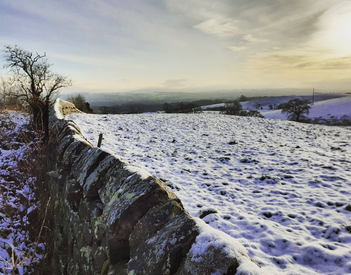 OscardeMuriel's tweet photo. Winter walk. As frosty as it seems
#still2020 https://t.co/Sf3kI54knc