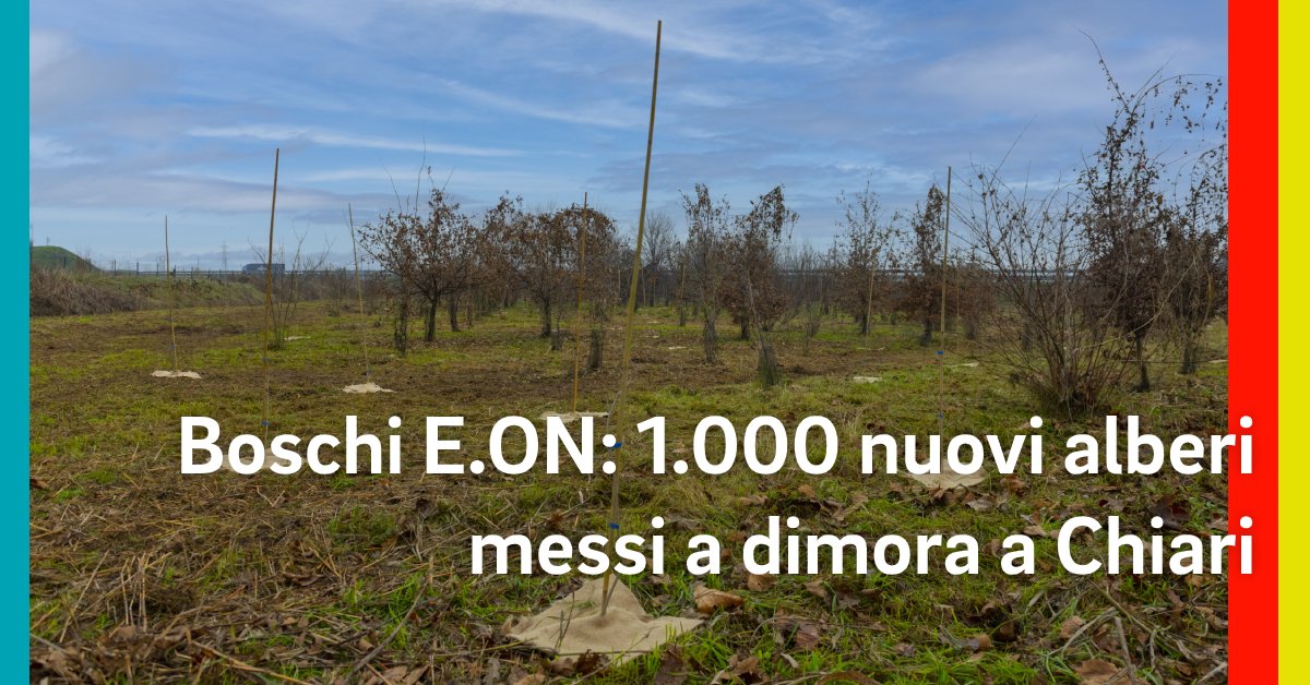 EON_Italia's tweet photo. Abbiamo messo a dimora 1.000 alberi nel Comune di Chiari: l'intervento di forestazione, che rientra nel progetto #BoschiEON e nella campagna Mosaico Verde di AzzeroCO2, vuole creare una barriera verde fonoassorbente per contenere l’inquinamento acustico e ambientale della zona. https://t.co/D6VZW1BC6H