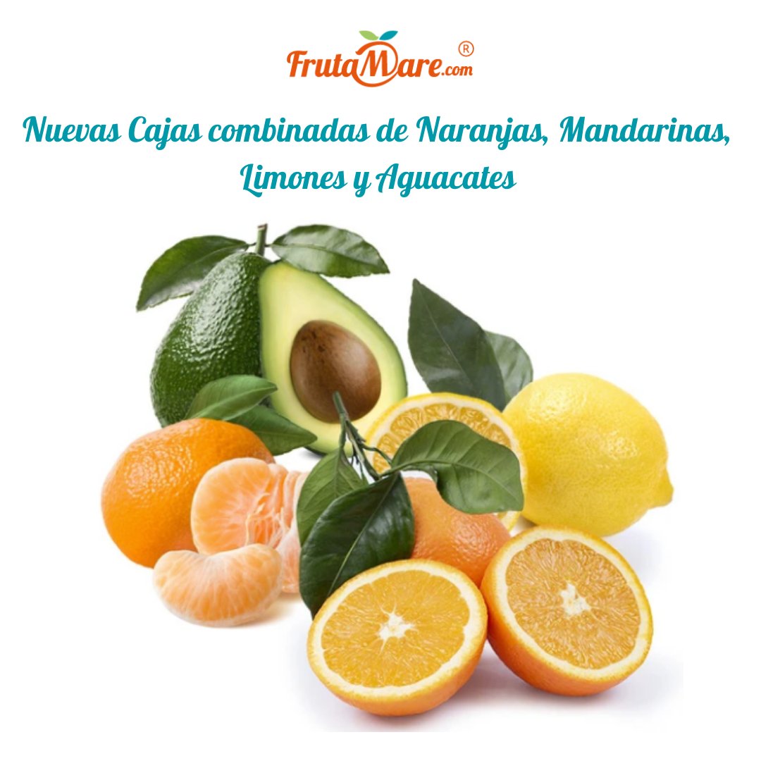 Nuevos Packs de Naranjas, Mandarinas, Limones y Melocotones
.
bit.ly/3aGaAIq
.
#naranjas #recienrecolectadas #delarbolatucasa #productosnaturales #trabajoduro #aguacates #mandarinas #limones