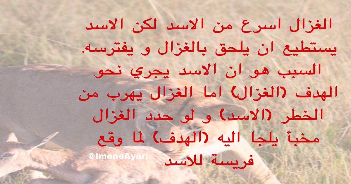 تخلص من #مخاوفك ، ضع #هدف ، #ركز عليه، توكل على #الله و انطلق 🦁

صباح الاستجابة 🌺