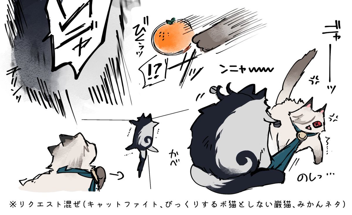 ニャンボ 