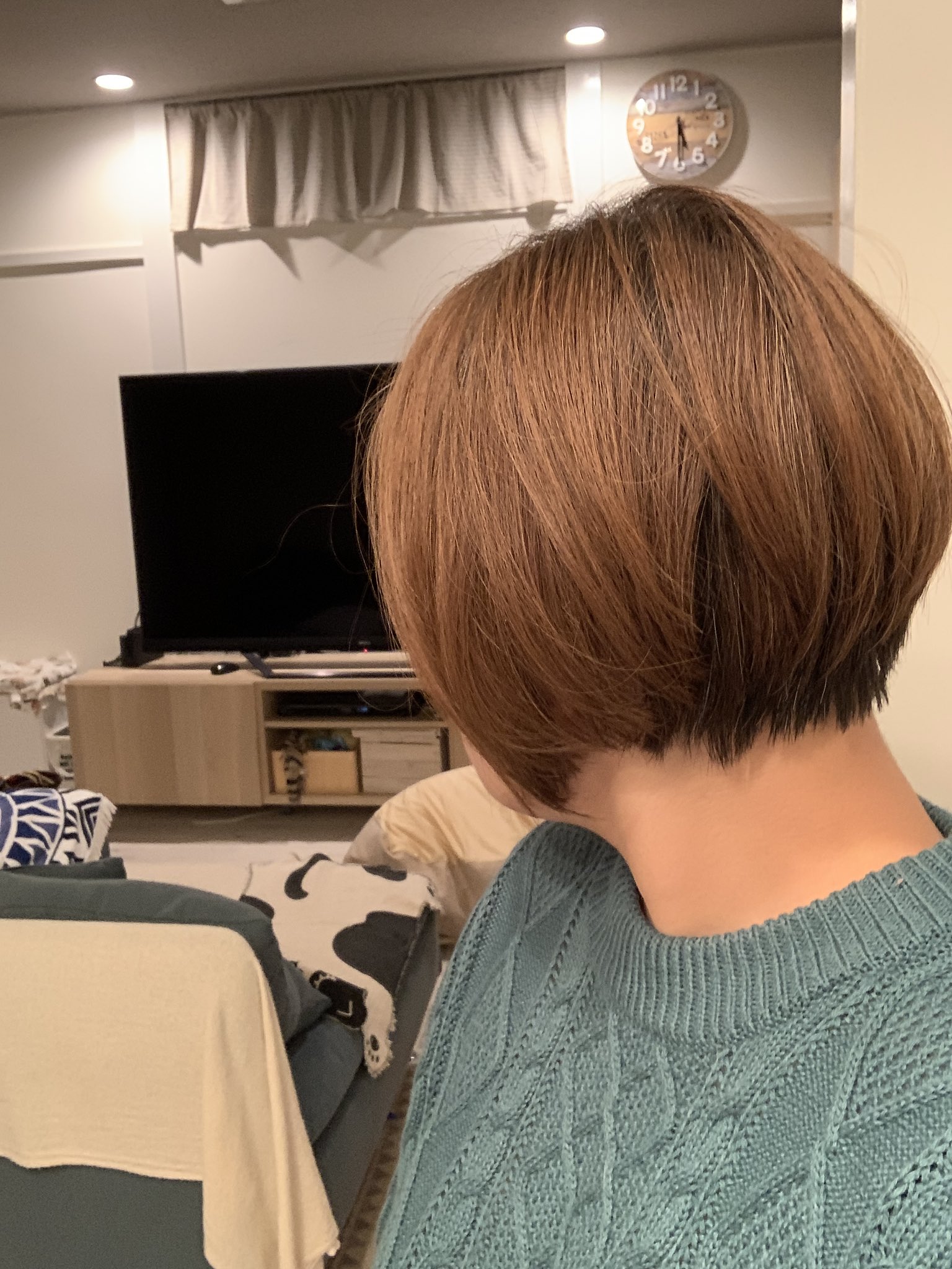 Miharu 新年に向けて短めショート 長女も一緒に切ってもらって3600円 やっすい でもめっちゃ丁寧やし Cat A様々 襟足黒いからまた染めんと てか先月染めたのにもう白髪目立っててツラッ T Co q2e6thly Twitter