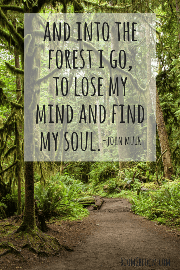 Nature For Health En Twitter: "“And Into The Forest I Go, To Lose My Mind And Find My Soul” - John Muir (1838-1914). This Quote Nicely Summarizes The Deeper Impact Of Being