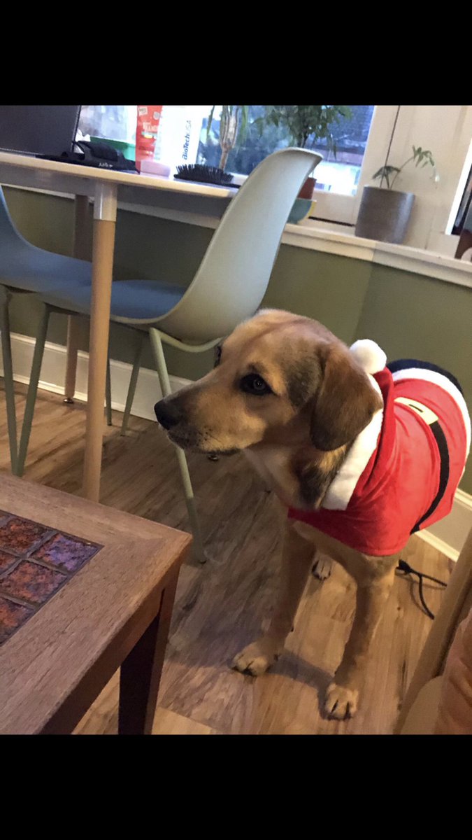 Mr. Rainey tweet media