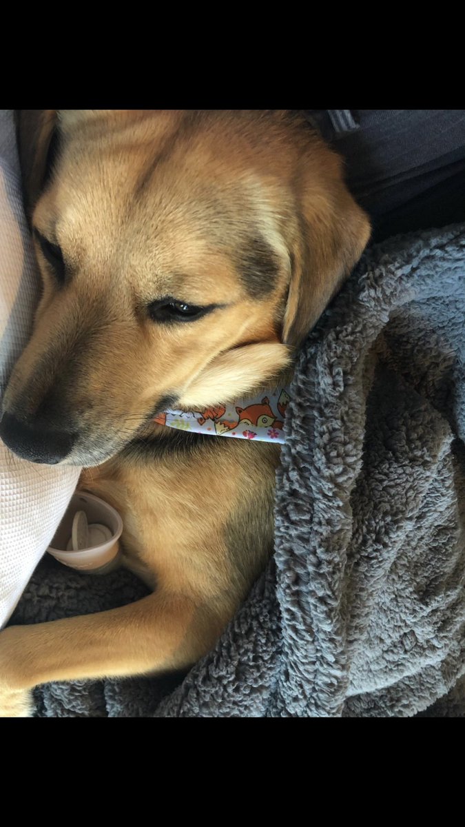 Mr. Rainey tweet media