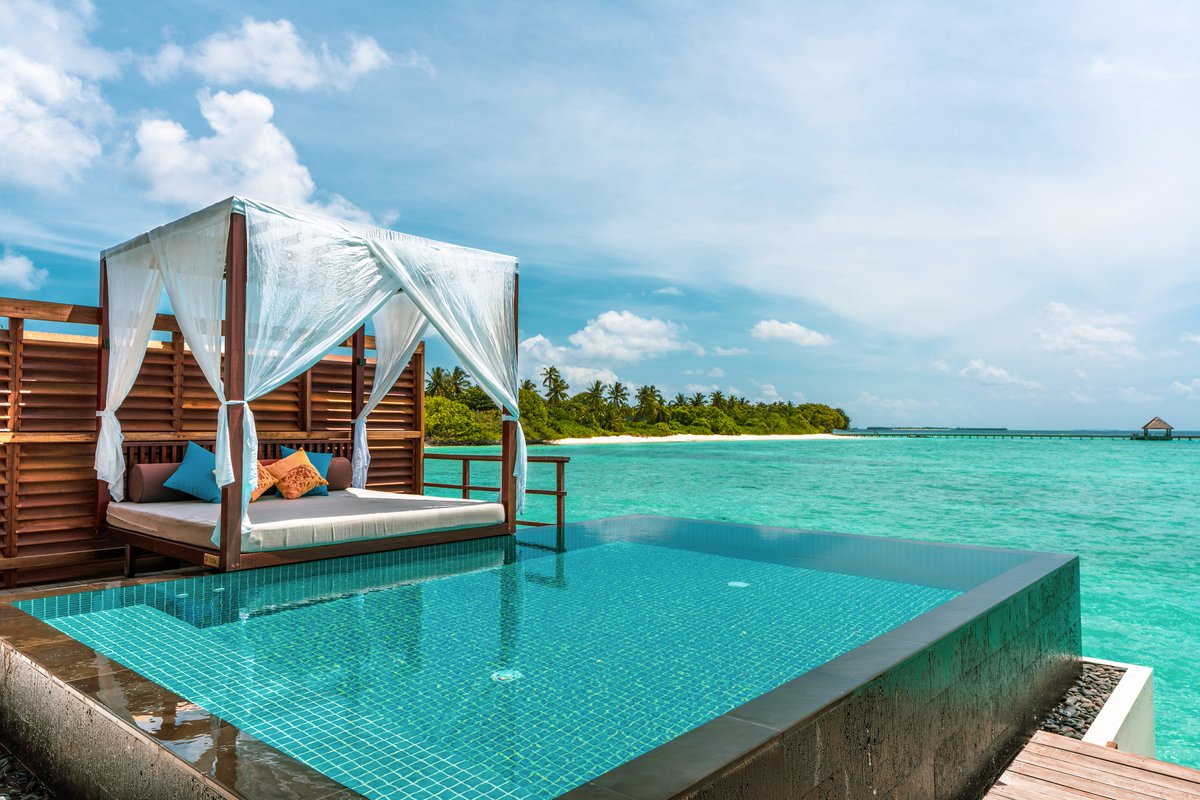Ocean Pool Villas at Furaveri Island Resort & Spa 

Surrounded by Water with its very own pool, These Villas are perfect for Couples or small families with kids. 

Accommodates 3 Adults or 2 Adults & 2 Children

#maldives #furaveriresortandspa #RediscoverMaldives #oceanpoolvilla