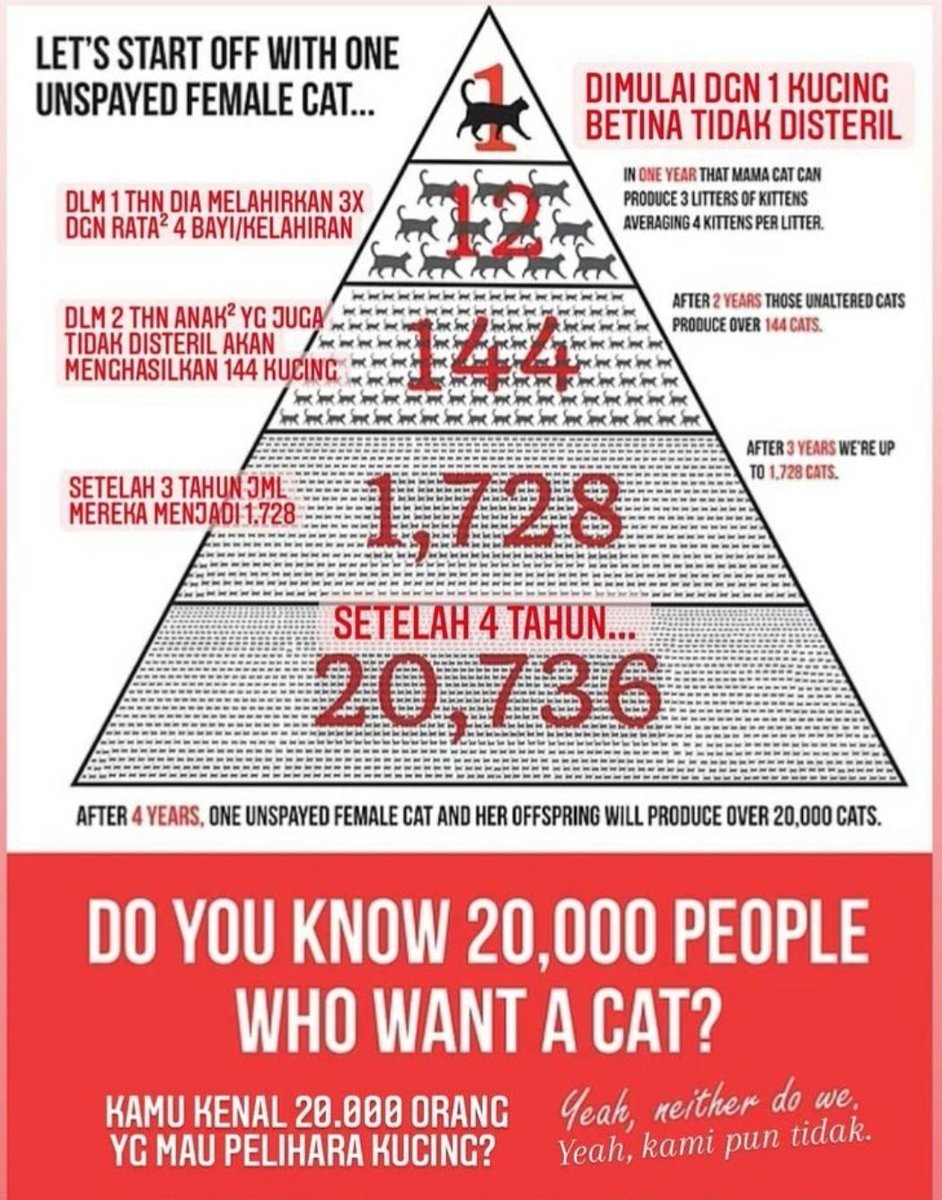 Mimmy Bapao Tausa tweet media