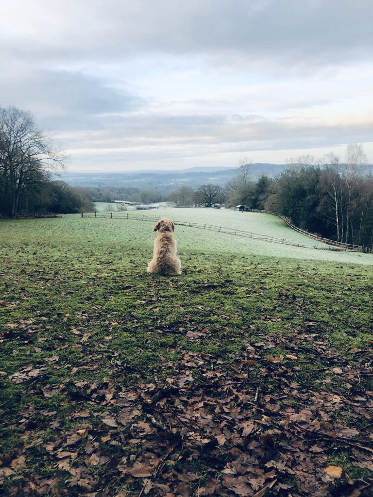 Herb planning his post lockdown adventure.
