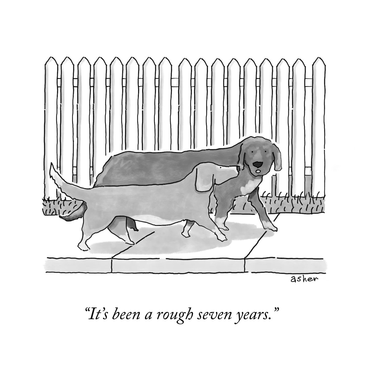 A cartoon by <a href="/asherperlman/">Asher Perlman</a>. #NewYorkerCartoons