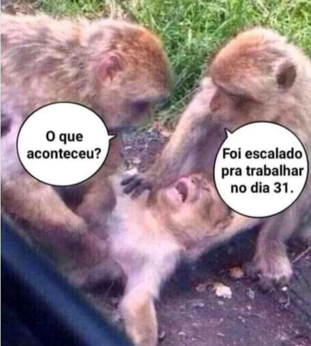🤦‍♀️