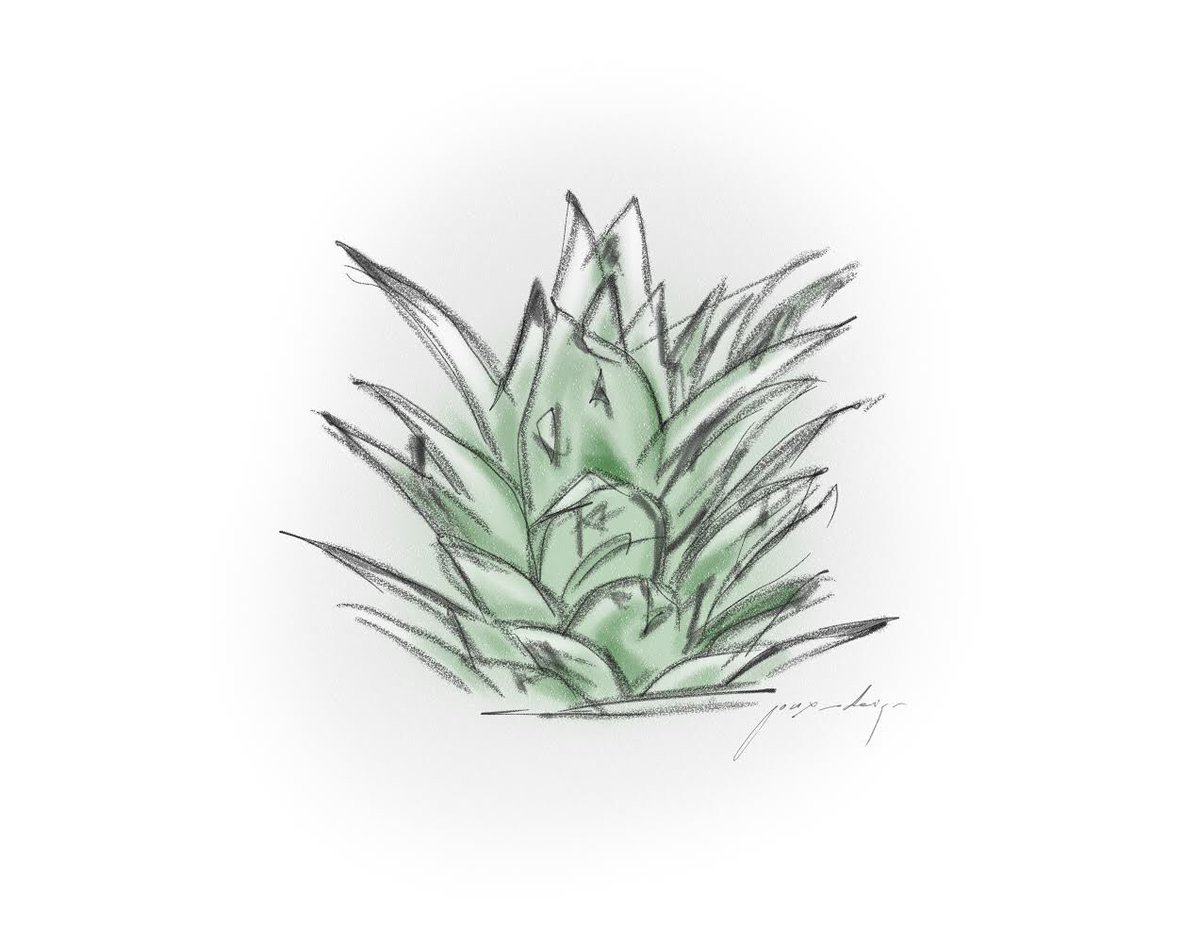 jossx_design's tweet photo. Pineapple leaves 🌿
#ReganRussell #SavePigs4Regan https://t.co/y7RuckssXg
