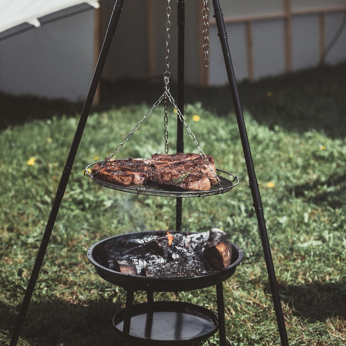 How to cook your meat on Carnivore Steak - More raw is more nutritious. Seared rare is my favGround beef - well doneFish - med rare/well done