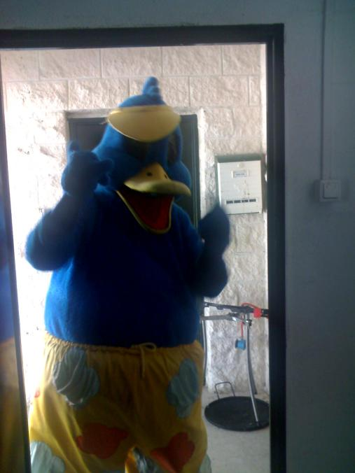polispol's tweet photo. Te acaba de visitar el @PatodeAqualand de la suerte.
Retuitea esta estupidez para tener muchas plumas de pato en la almohada cuando te vas a dormir a las 5 de la mañana después de vernos jugar al raft. https://t.co/EyUqolKPTx