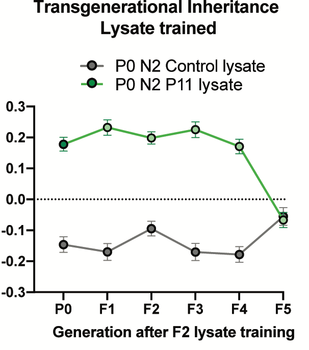 Lysates from the F3 and F4, but not F5 (when worms lose avoidance) also conferred avoidance on untrained animals. Moreover, this lysate training, like Pseudomonas or P11 training, also induces memory for 4 generations, resetting in F5, and is specific to Pseudomonas.