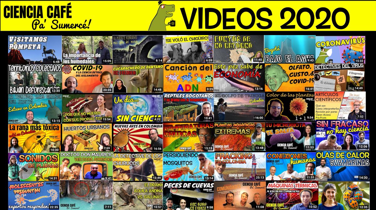 CienciaSumerce's tweet photo. 2020, un año difícil. Sin embargo, continuamos mostrando las caras de muchas científicas y científicos locales, sus historias, sus anécdotas, su ciencia. COVID fue protagonista en varios videos, claro. https://t.co/poGLtSQ7zW