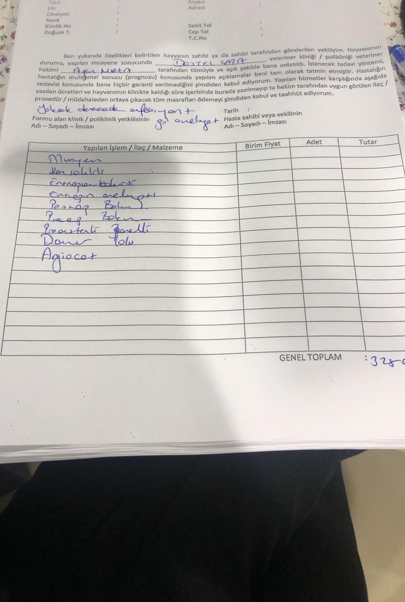 ACİL! HAYATİ RİSKİ ÇOK YÜKSEK, KÖR KALDI VE İKİ GÜN İÇİNDE TEDAVİ GİDERİ ÖDENMEZSE TEDAVİSİ DURDURULACAK! 
Bu çocuğa köpek saldırdı! Köpeğin ağzından çevredekiler güç bela aldı. Açık yarası vardı, hareket edemiyordu, tek gözü tamamen çıkmıştı hemen kliniğe yetiştirdik+
