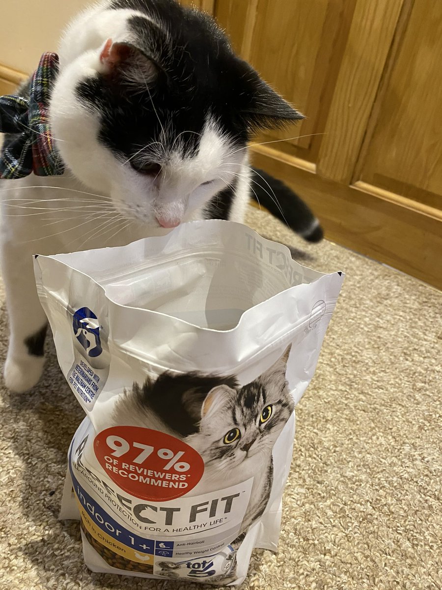 MatthewsSara74's tweet photo. I love my Perfect Fit food it’s delicious & keeps me active for my PC Cat Cow neighbourhood watch duties. Use code PERFECTFIT30 for 30% off on ZooPlus thru Dec 31st 2020! #PerfectFitPartner #KeepThemAmazing #FeedMovePlay learn more https://t.co/NHH37j9v2B https://t.co/Is1pIbt79e