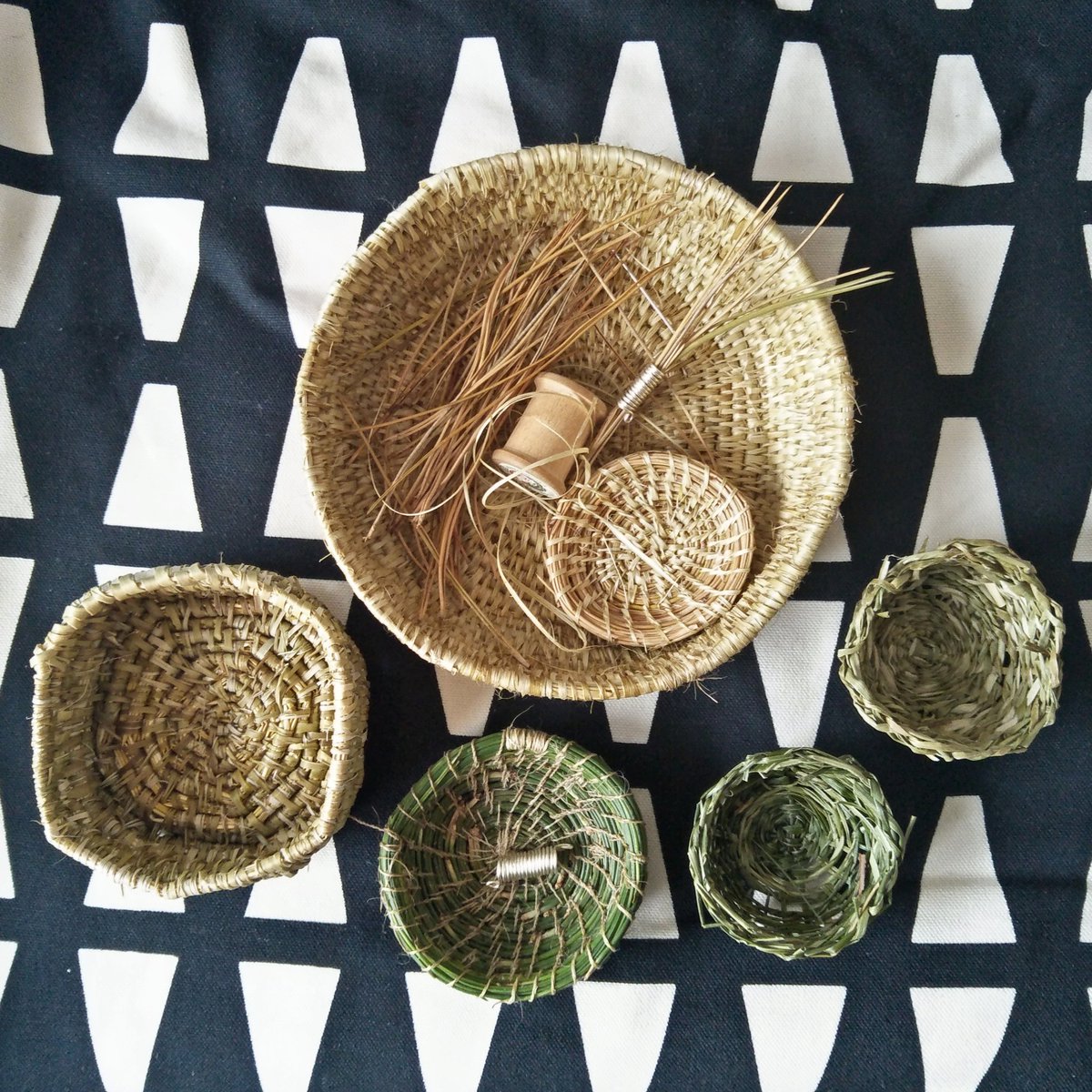 (4/13) It helps that this year I became more interested in basketry and gathering local plant fibres