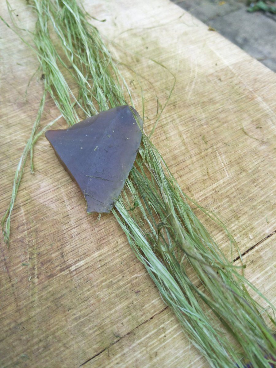 (4/13) It helps that this year I became more interested in basketry and gathering local plant fibres