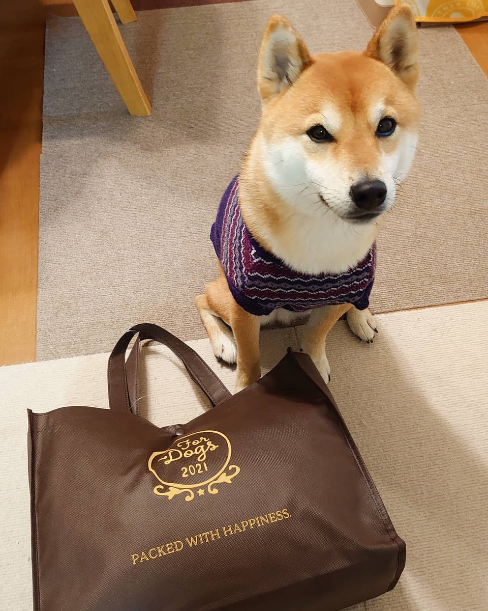 イオンペット イオンペット