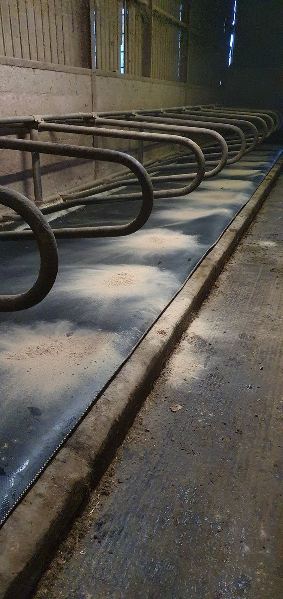 StCatherineFarm's tweet photo. New mattresses fitted in the cow shed, platts animal bedding used 

#platts #animals #farm #dairyfarmer #herdsman #comfy #AnimalWelfare https://t.co/M0lYgM4LI9