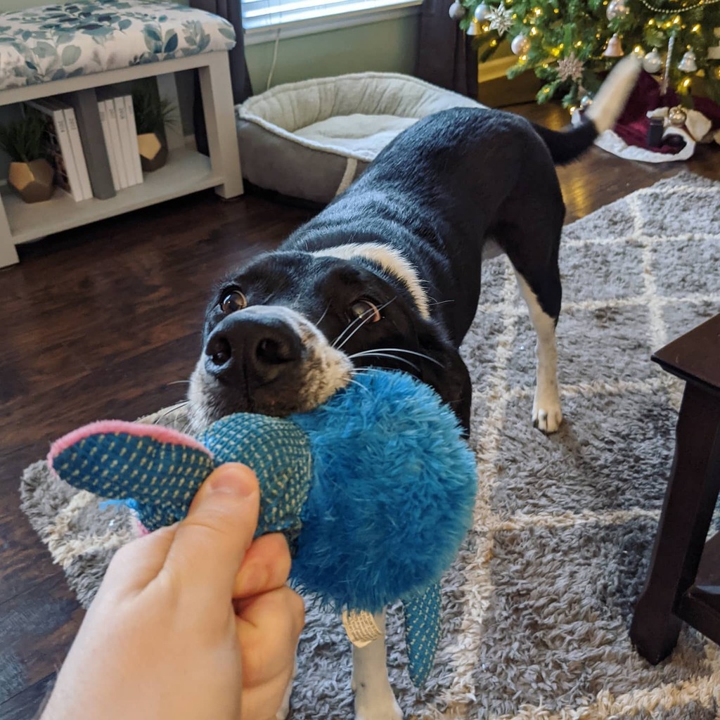 Mike Wilson! tweet media