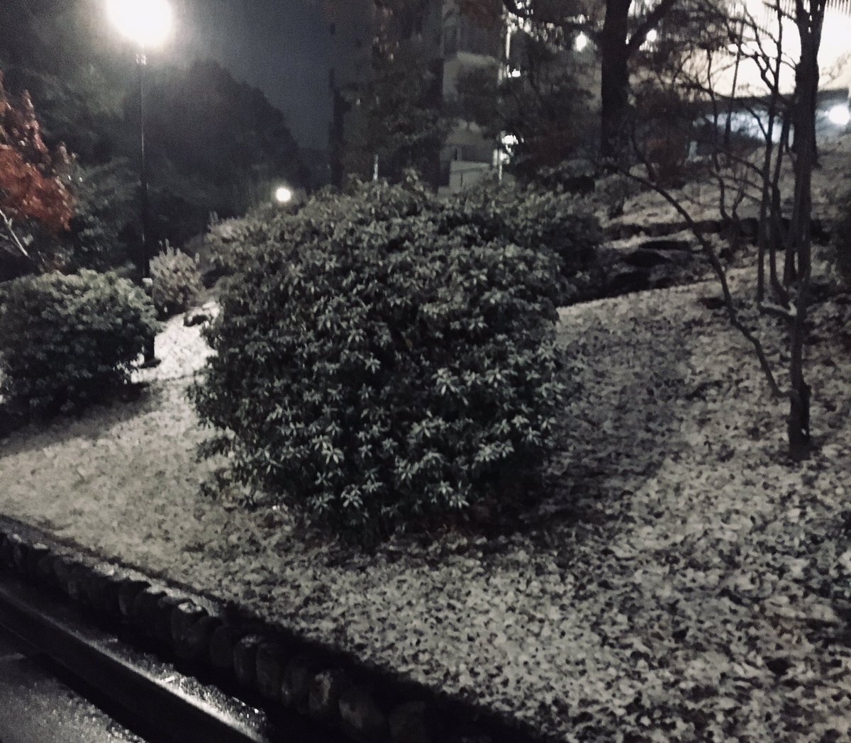 好きな曲を貼って寝る
水曜日 お疲れさま
佳い夜を⸝⸝⸝⸝◟̆◞̆♡

フルムーンを撮りたくて
でも今にも雪雲に隠れそうで焦った〜💦ブレた〜😅
ほんのり雪化粧した散歩道
にて...  #へたでごめん
おやすみなさ〜い
*🌕:ﾟ･⋆｡✰⋆｡:ﾟ･❄️

Dave Koz - Together Again youtu.be/OyQz1QfPrYQ