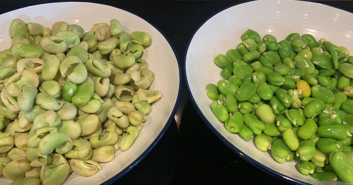  Step 3: I’ve now spent 3 years of my life birthing each and every bean from its rubbery prison