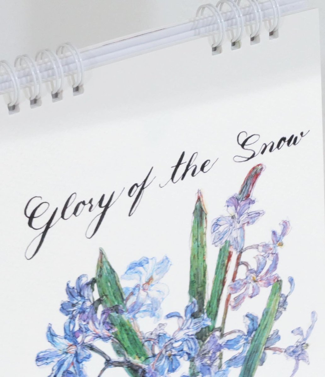 picaoriginal's tweet photo. แอบมาอวดงานของ คุณเจื้อย นักเรียนในคลาส Calligraphy workshop ของเรา ใครอยากได้ปฏิทินสวยๆ แบบนี้ เข้าไป Pre-order ที่@mattmekartworks เลย https://t.co/gOG7UG409A