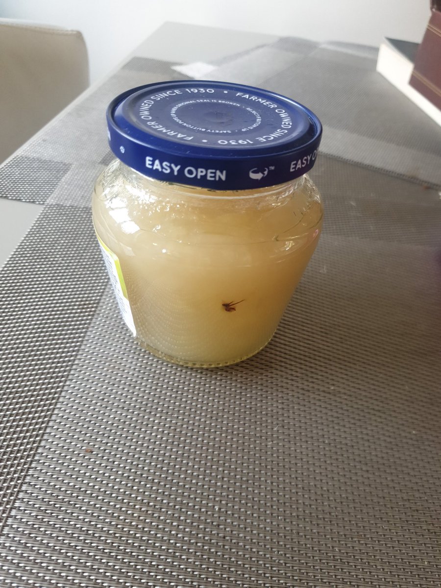 NicolaZiff's tweet photo. As always bought my @OceanSprayUK apple sauce to go with my christmas dinner and just before opening i noticed a dead bug in it. totally ruined xmas lunch as if 2020 wasn't bad enough. family were devastated. thanks @OceanSprayInc https://t.co/f5KH6TQAvR