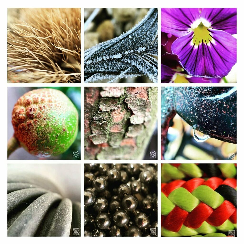 MacroDaze's tweet photo. Our top 9 from 2020, having only started this during lockdown it’s been such a fun project and I hope we can continue to grow throughout 2021 and continue to bring beautiful macros to peoples timelines! https://t.co/QsPKeUG9yM https://t.co/Sv2JuiT4fp