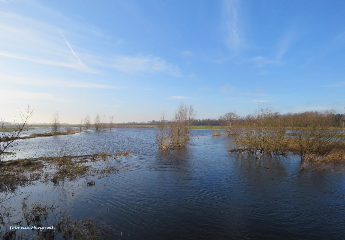 Margreeth0_0's tweet photo. Lekker stuk gefietst in de omgeving van het #Lieversche diepje, omgeving #Roden Prachtig hoogwater nog (foto's wel even uitklappen)! @ditisRODENnl @mooieluchten @BuienRadarNL @WilliamHuizinga #Noordenveld #natuur #frisseneus #natuurfotografie #NaturePhotography https://t.co/tW8VCr8TmP