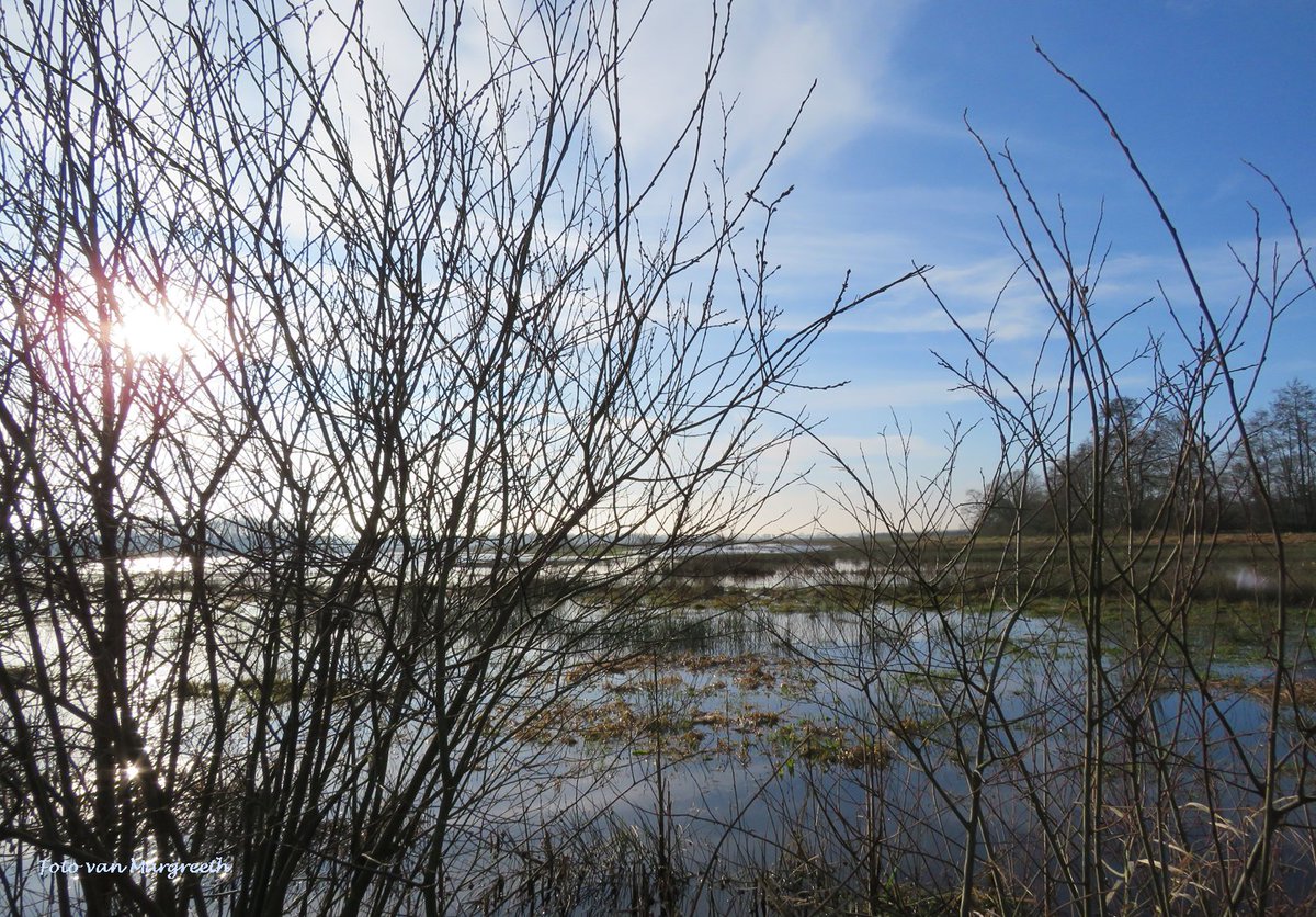 Margreeth0_0's tweet photo. Lekker stuk gefietst in de omgeving van het #Lieversche diepje, omgeving #Roden Prachtig hoogwater nog (foto's wel even uitklappen)! @ditisRODENnl @mooieluchten @BuienRadarNL @WilliamHuizinga #Noordenveld #natuur #frisseneus #natuurfotografie #NaturePhotography https://t.co/tW8VCr8TmP