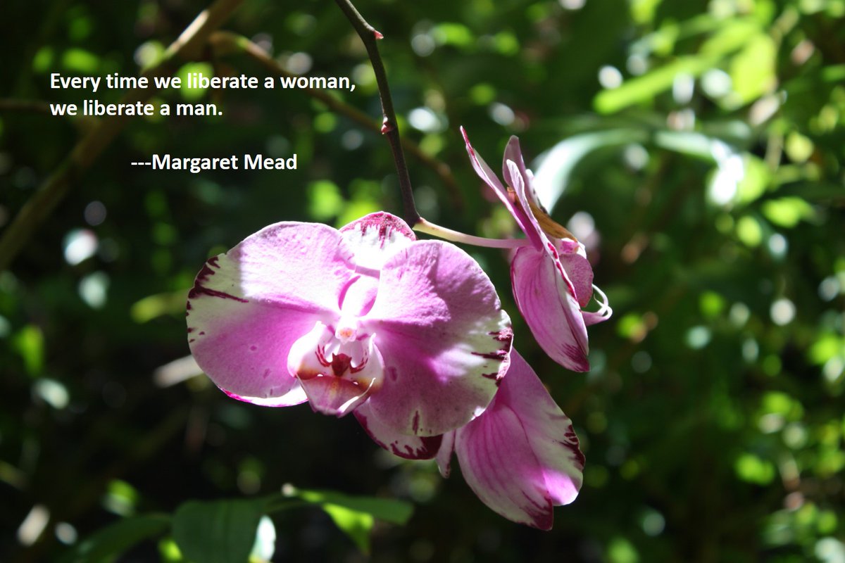 #genderequality #equality
