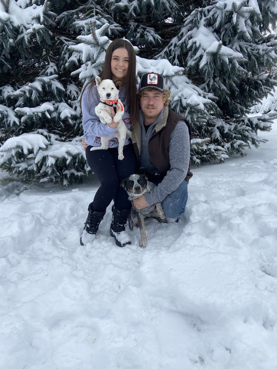 averymaxine__'s tweet photo. 🥺🐾 https://t.co/xz9A1cDZNh