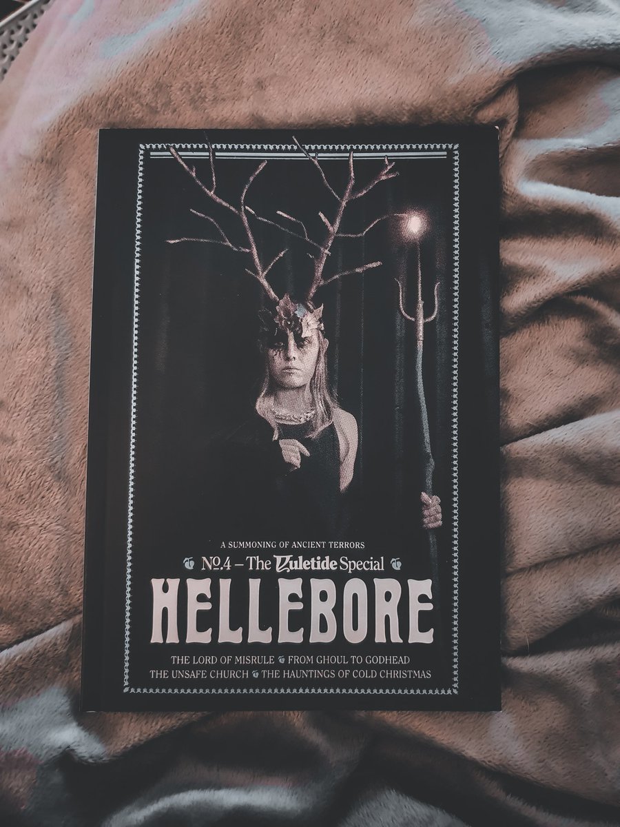 Look, what the post dragged in. 🖤