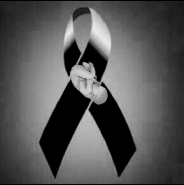 #ArgentinaProVida tweet media