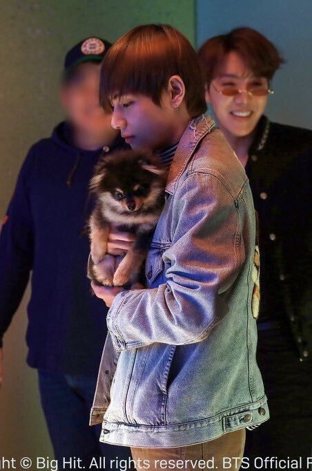 THIS DAY RIGHT HERE?? like they went to visit Hobi filming his mv AND THESE TWO ARE WEARING THE SAME STRIPED SHIRTS UNDER JACKETS LIKE??? DID THEY GO OUT DID THEY ARRIVE TGT??also let’s not forget how yeontan looks so comfortable in yoongi’s arms like clearly he is second dad