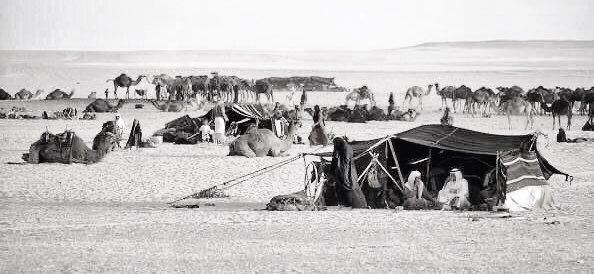 هذي حياة  مسطرين التواريخ
وهذي مضاربهم  وهذا دبشهم

من دونها كم راح شيخٍ ولد شيخ
ماتروي حياض المنايا عطشهم .