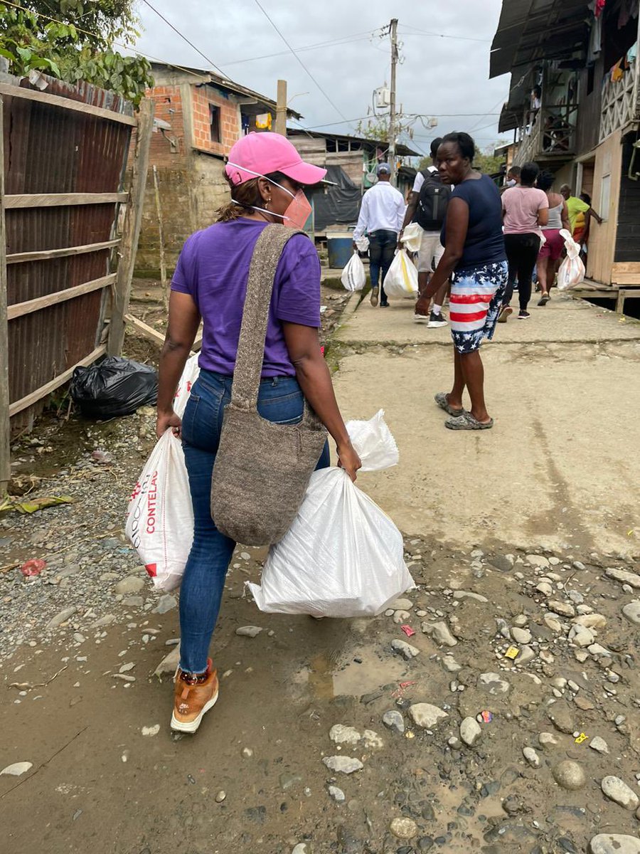 Proyecto Chocó tweet media