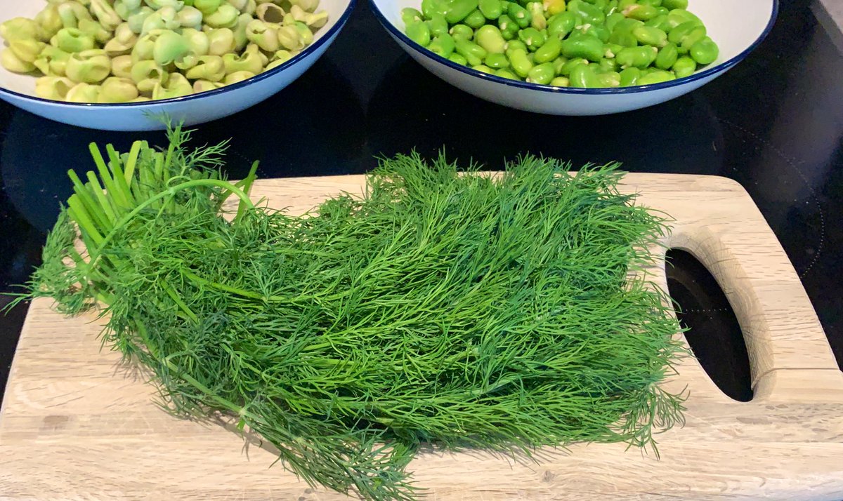  Step 4:Righteo, we’re backA huge bunch O’Dill You need a lot of dill. Chop it so it’s finely chopped